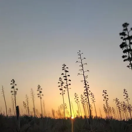 Lejlighed Vivienda En Lajares 