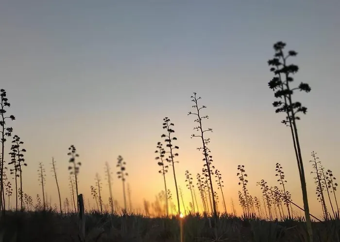 Апартаменты Vivienda En Lajares 